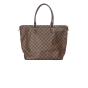 Louis Vuitton Saleya brown Damier bag
