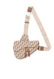 Dior x Cactus Jack Saddle bag