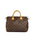 Louis Vuitton Speedy 30 monogram bag