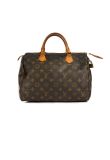 Louis Vuitton Speedy 30 monogram bag