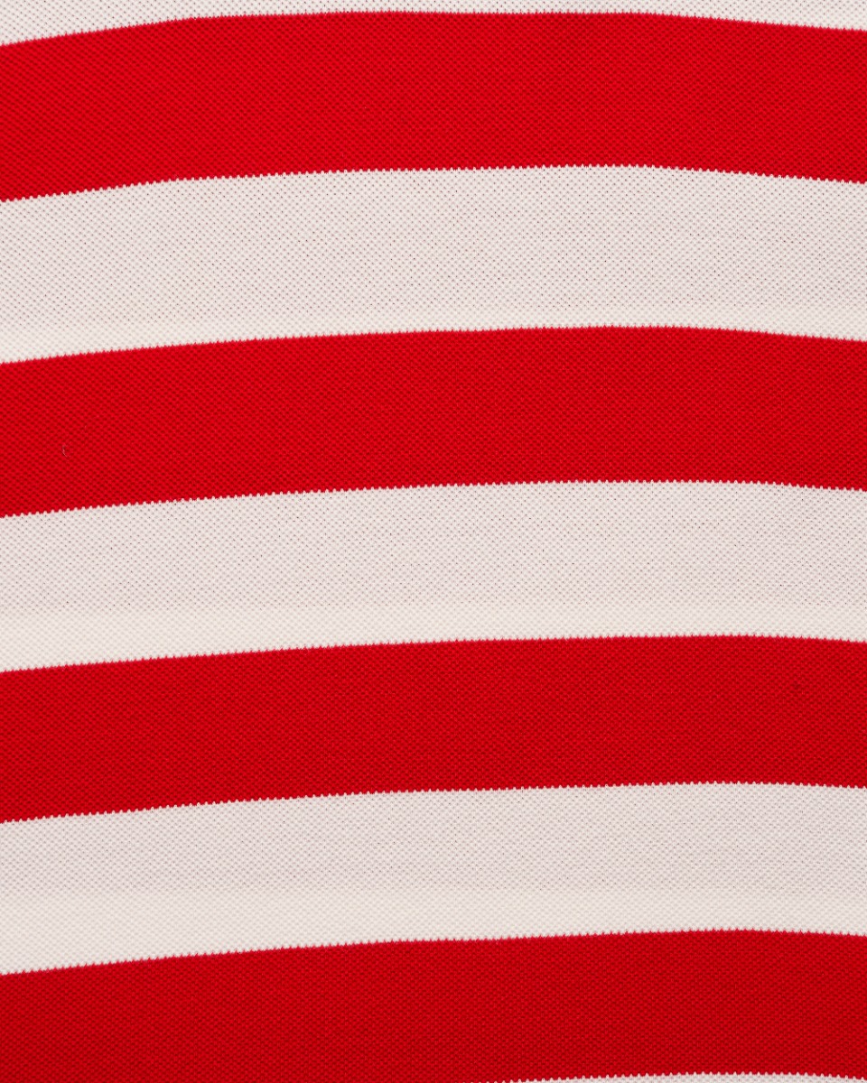 Gucci Kingsnake collar embroidery striped polo t-shirt thumbnail