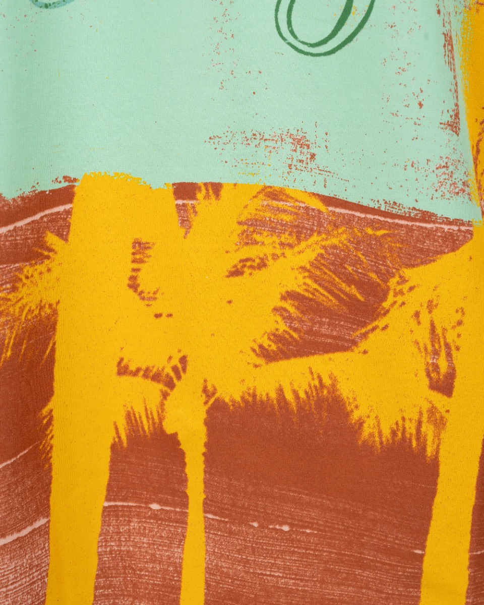 Loewe Paula's Ibiza Palm brown print white t-shirt thumbnail