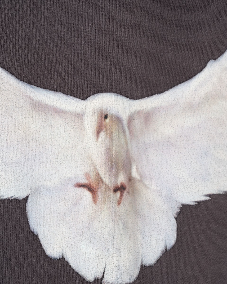 Yeezy x GAP Dove oversized hoodie thumbnail