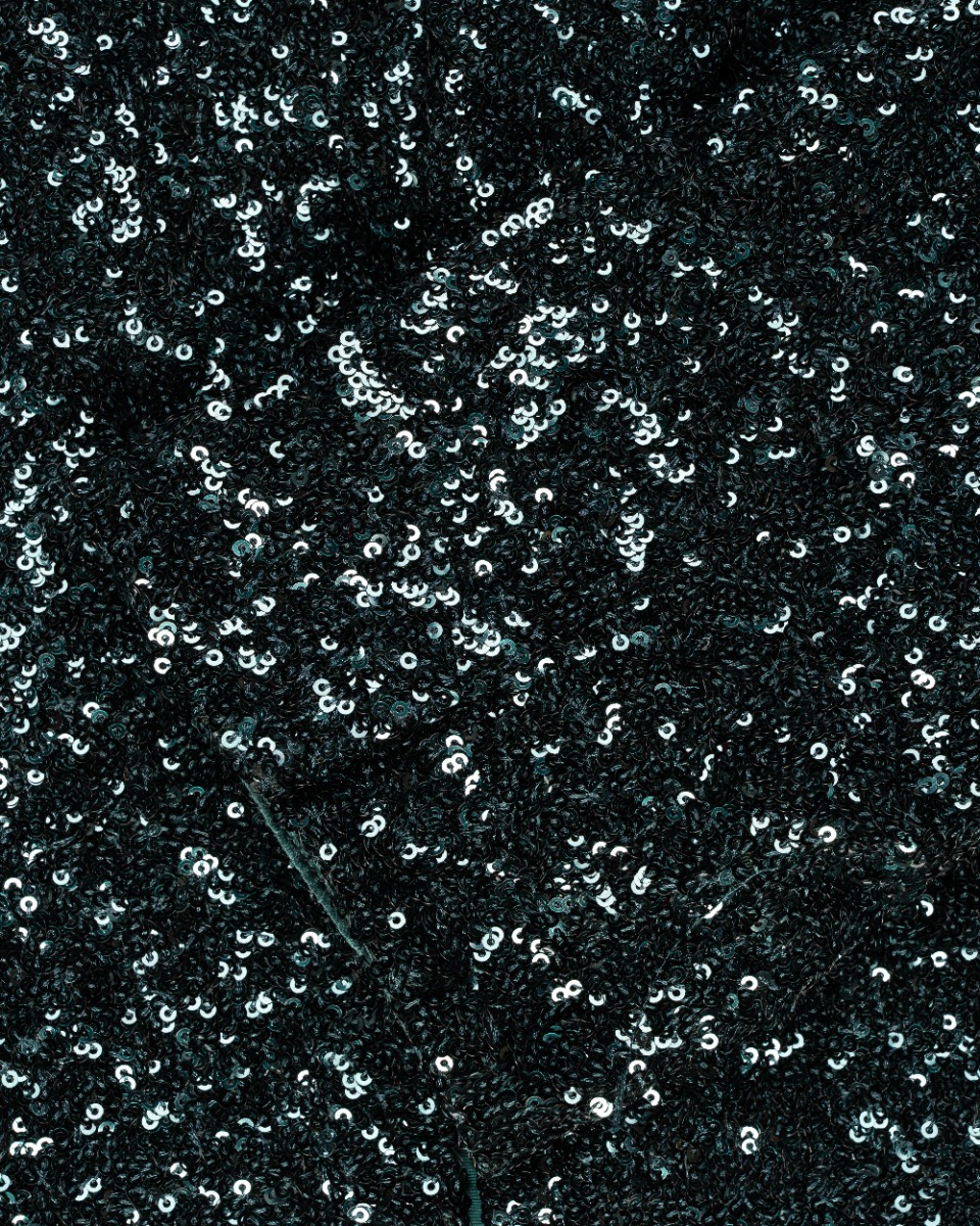 Zadig & Voltaire green sequin-embellished blazer jacket thumbnail